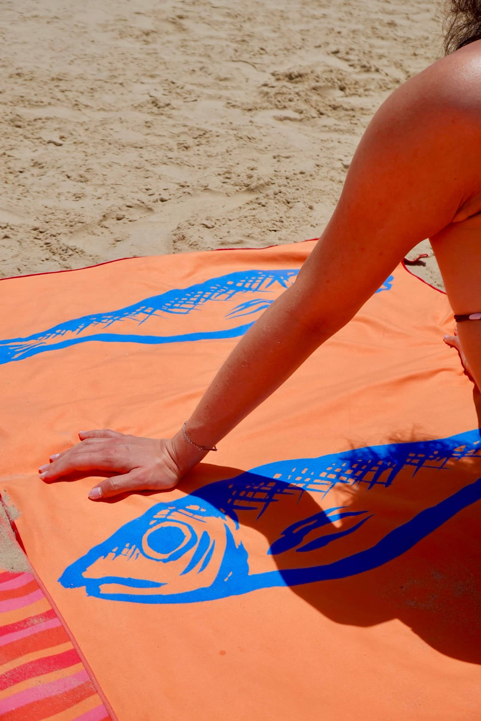 The Sardines towel